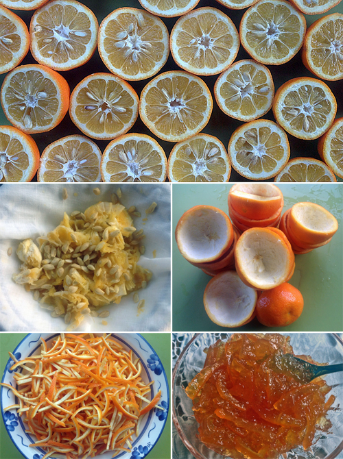 marmalade_making
