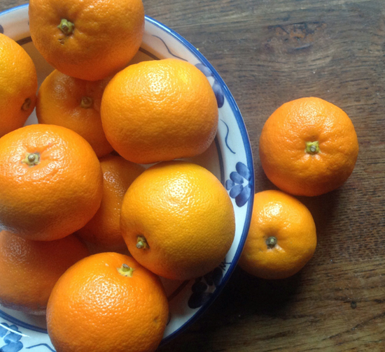 seville_oranges